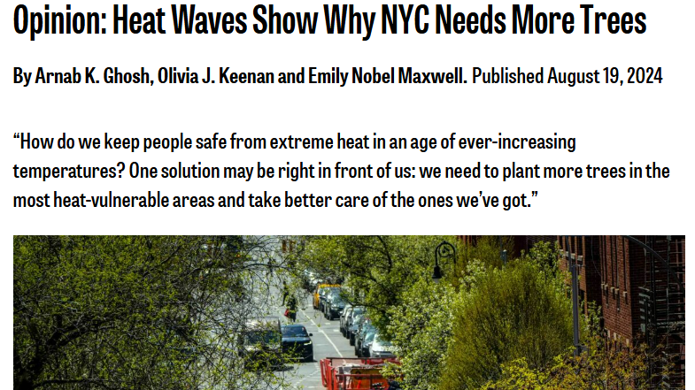 Trees and heatwaves