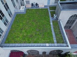 Griffis Green Roof
