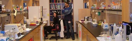 Students in lab