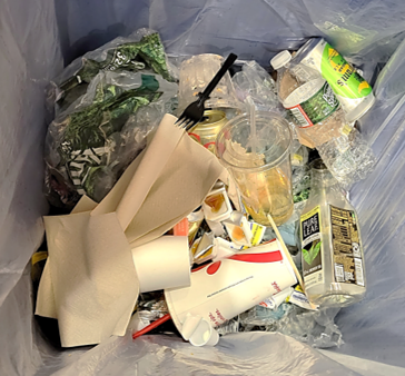 Inside a recycling bin