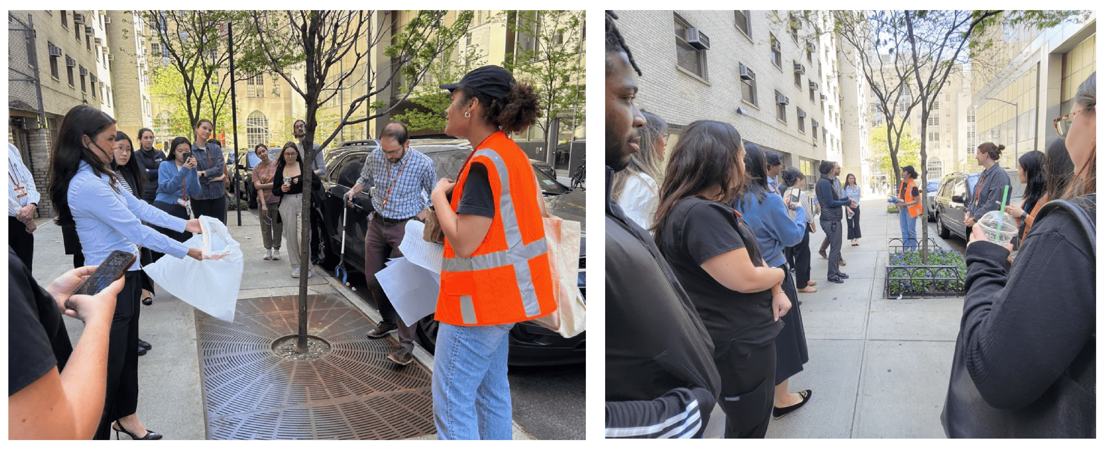 Sustainability Newsletter Fall 2025 Sustainability Newsletter Fall 2025