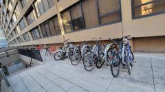 LH bike rack